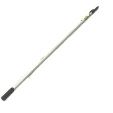 Солонгос өнхрүүшний иш (5м)